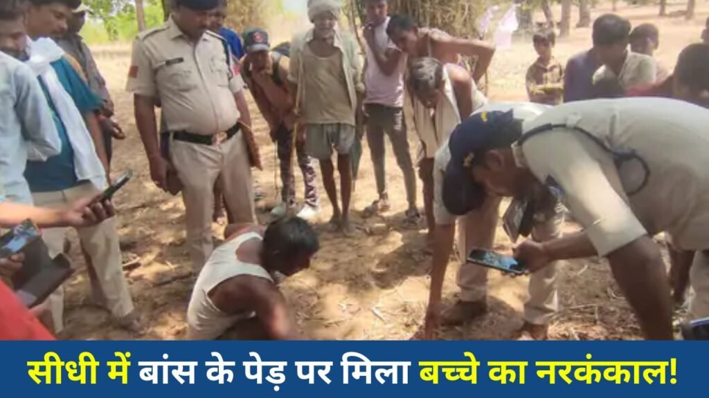 Sidhi News: सीधी में बांस के पेड़ पर लाल पोटली में मिला नरकंकाल, तंत्र-मंत्र की आशंका