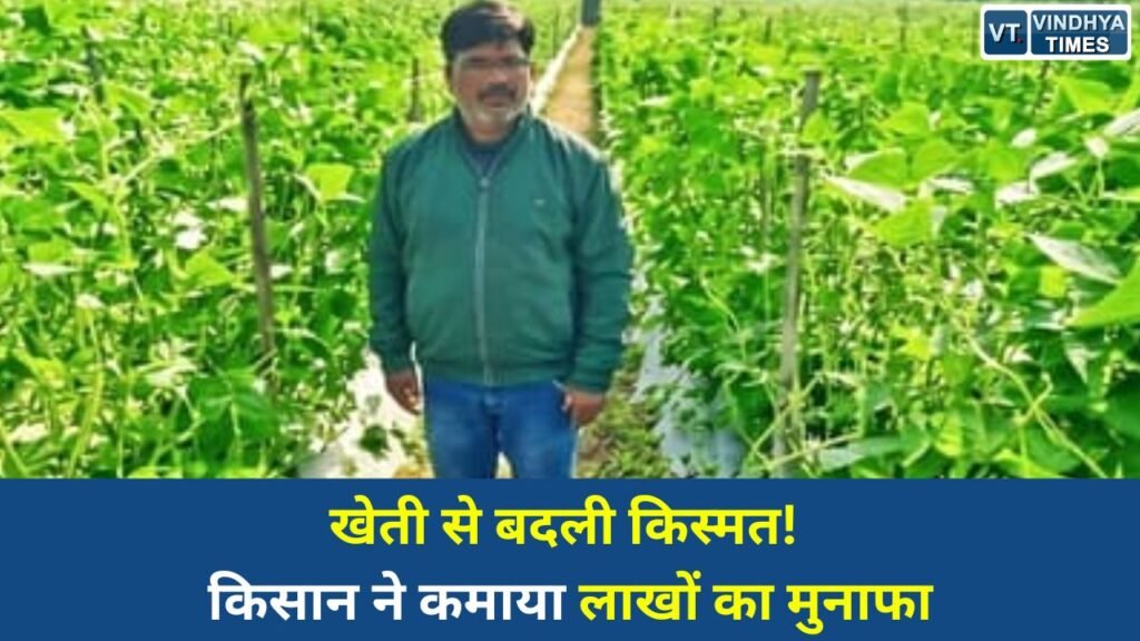 CG News: बिलासपुर के किसान महेश कश्यप की सफलता की कहानी, आधुनिक खेती से बनी आत्मनिर्भरता की मिसाल