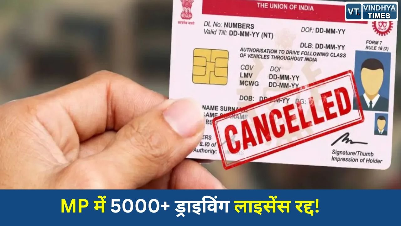 MP News: मध्य प्रदेश में सड़क सुरक्षा अभियान के दौरान 5 हजार से ज्यादा ड्राइविंग लाइसेंस रद्द