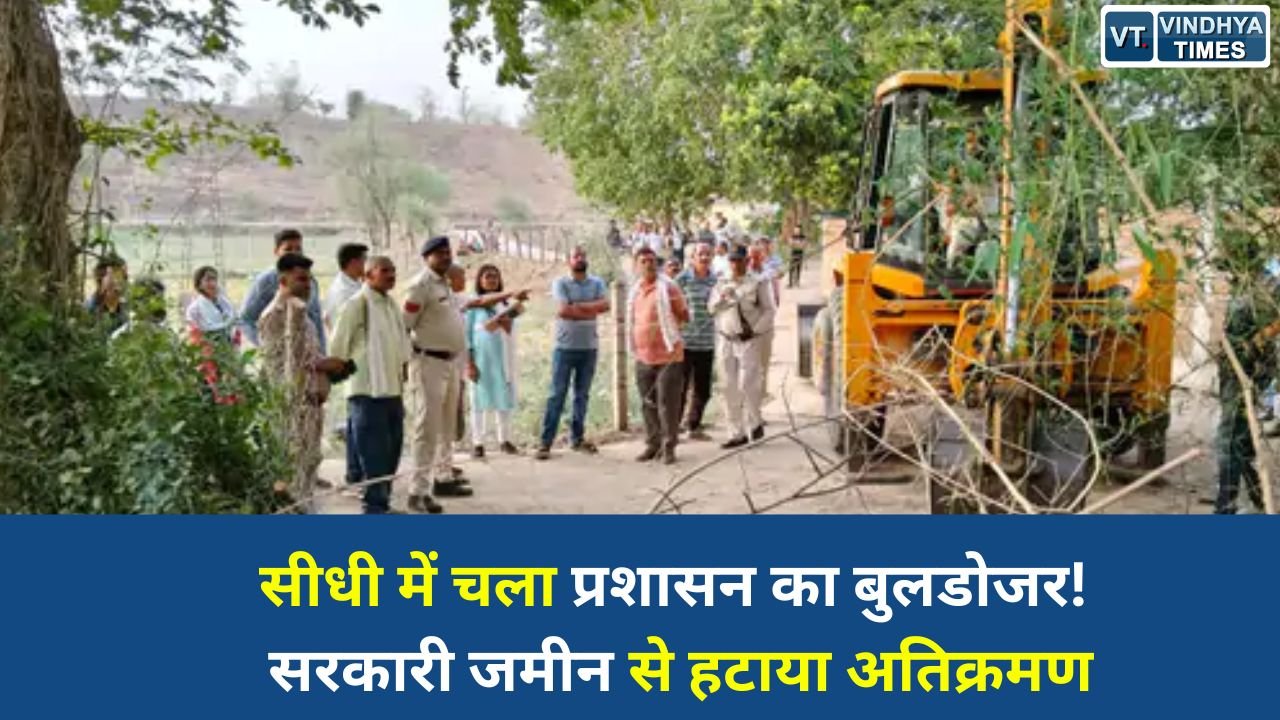 Sidhi News: सीधी के चुरहट में सरकारी जमीन पर कब्जे के खिलाफ बड़ी कार्रवाई, एसडीएम की मौजूदगी में हटाया अतिक्रमण