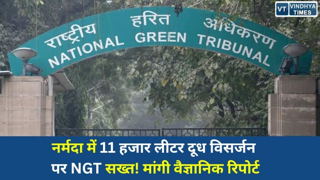 MP News: नर्मदा नदी में दूध और साड़ियों के विसर्जन पर NGT का बड़ा एक्शन, CPCB-MPPCB से मांगी रिपोर्ट