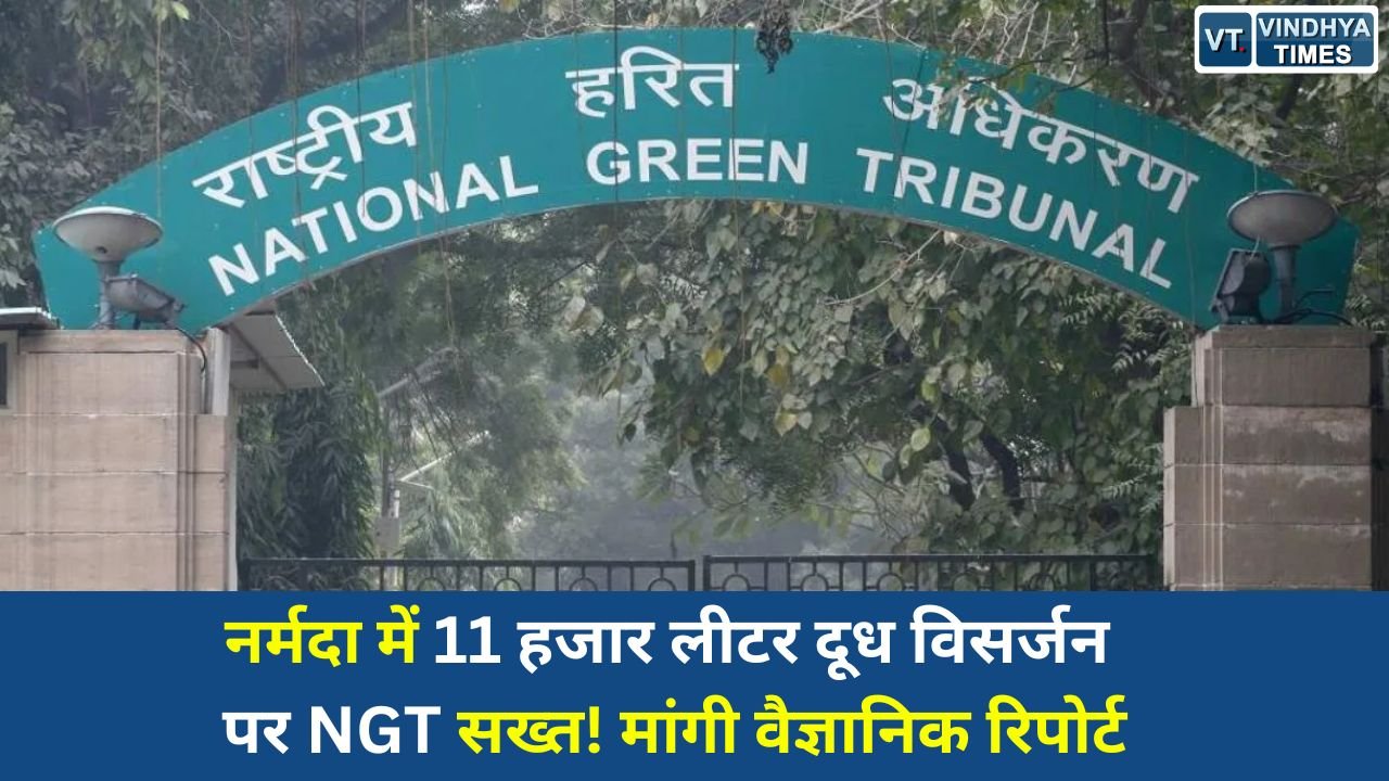 MP News: नर्मदा नदी में दूध और साड़ियों के विसर्जन पर NGT का बड़ा एक्शन, CPCB-MPPCB से मांगी रिपोर्ट