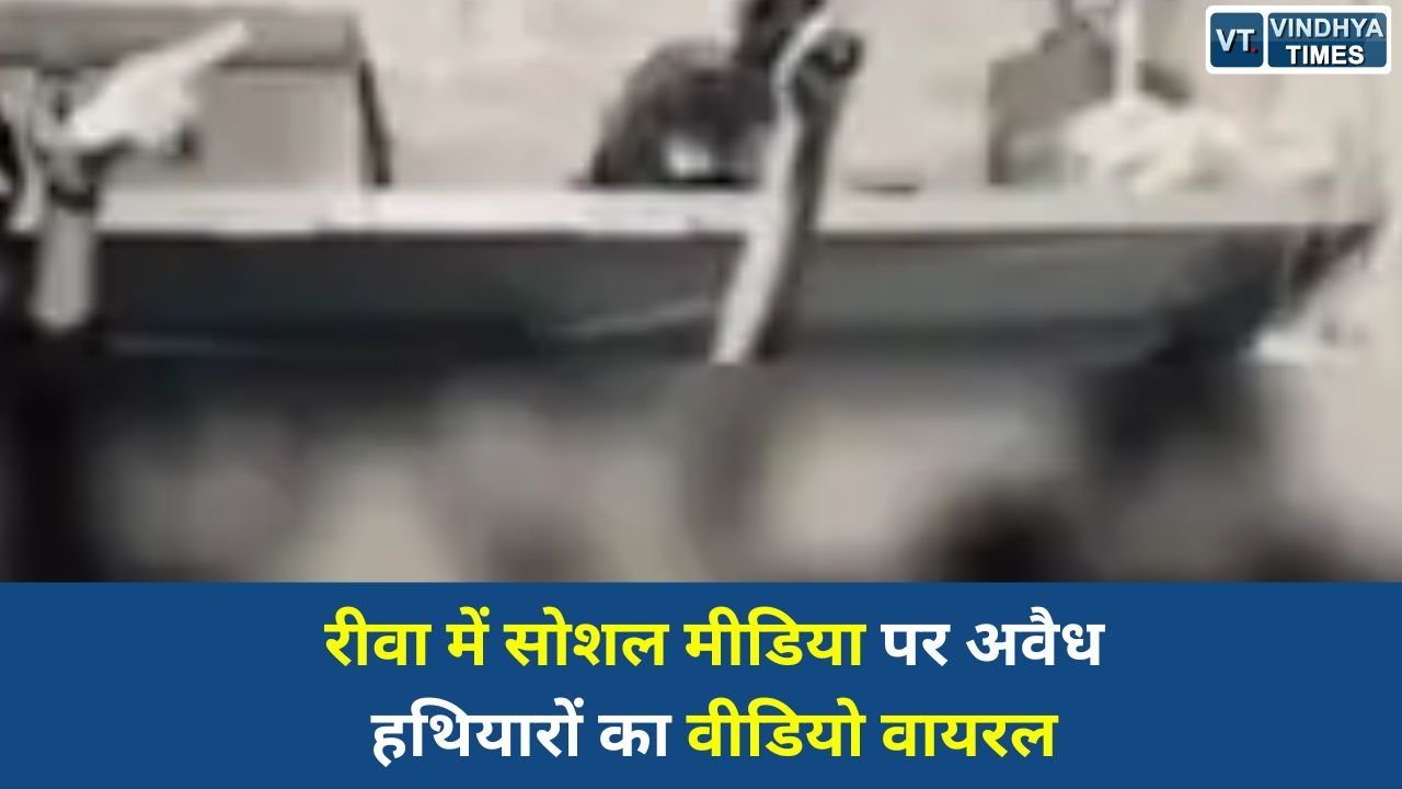 Rewa News: रीवा में सोशल मीडिया पर अवैध हथियारों का वीडियो वायरल, कानून-व्यवस्था पर सवाल