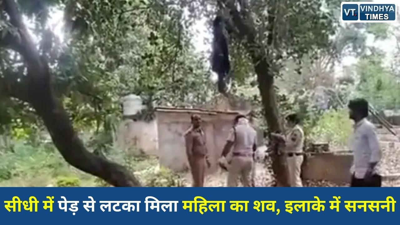 Sidhi News: सीधी में पेड़ से लटका मिला महिला का शव, इलाके में सनसनी