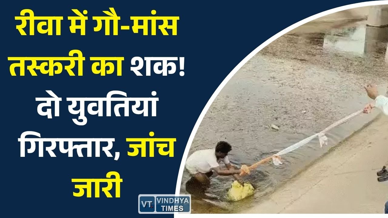 Rewa News: रीवा में गो-मांस तस्करी के संदेह में दो युवतियों की गिरफ्तारी, पुलिस जांच में जुटी