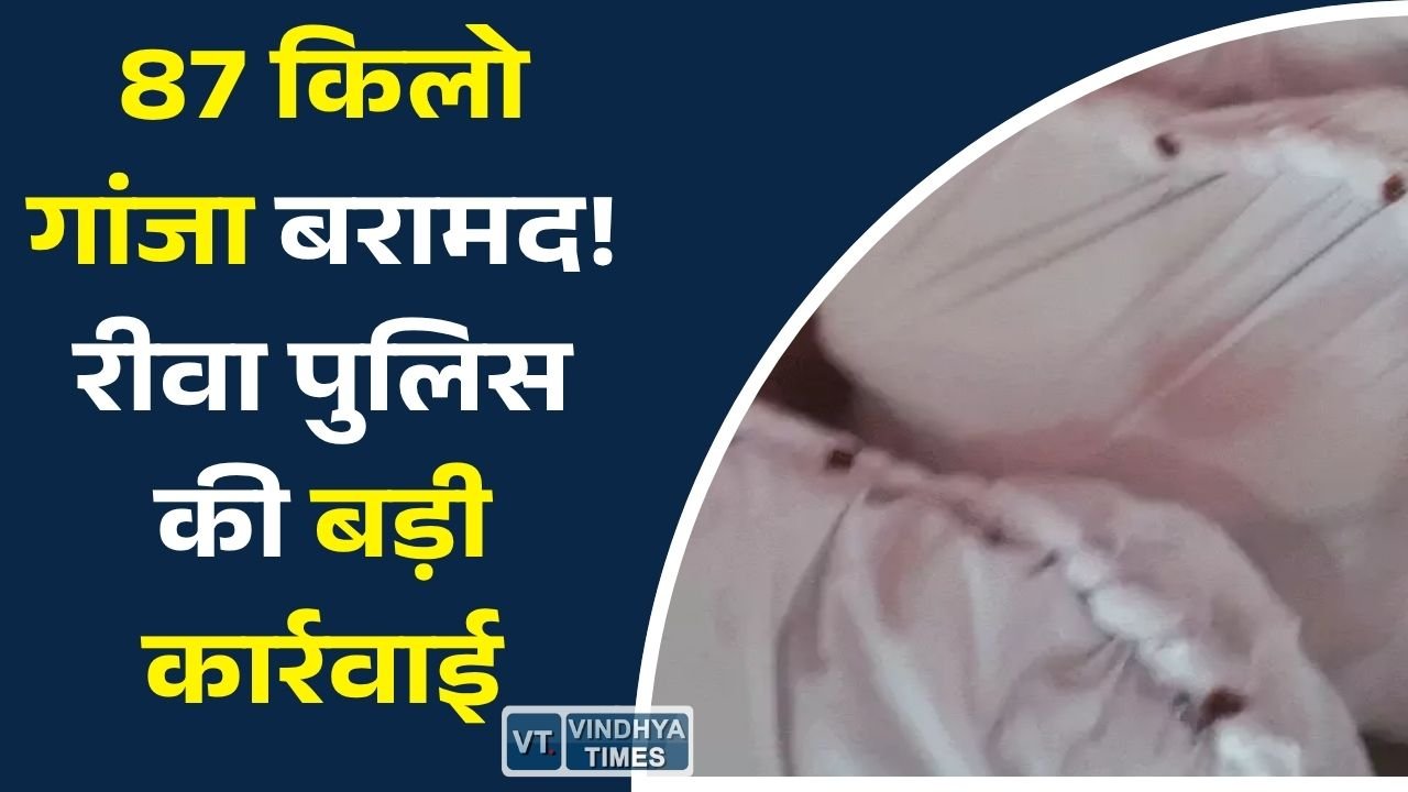 Rewa News: रीवा के पनवार थाना क्षेत्र में 87 किलो गांजा बरामद, दो आरोपी गिरफ्तार, एनडीपीएस एक्ट में केस दर्ज