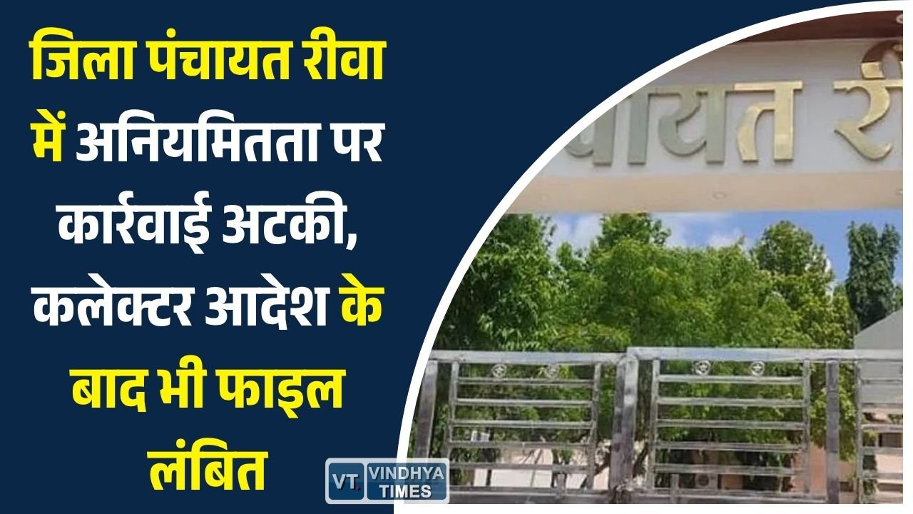 Rewa News: जिला पंचायत रीवा में अनियमितता पर कार्रवाई अटकी, कलेक्टर आदेश के बाद भी फाइल लंबित