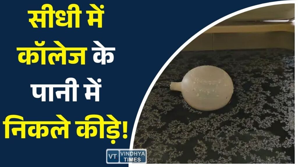 Sidhi News: शासकीय कन्या महाविद्यालय में बड़ी लापरवाही, वाटर कूलर के पानी में मिले कीड़े, छात्राओं में नाराजगी