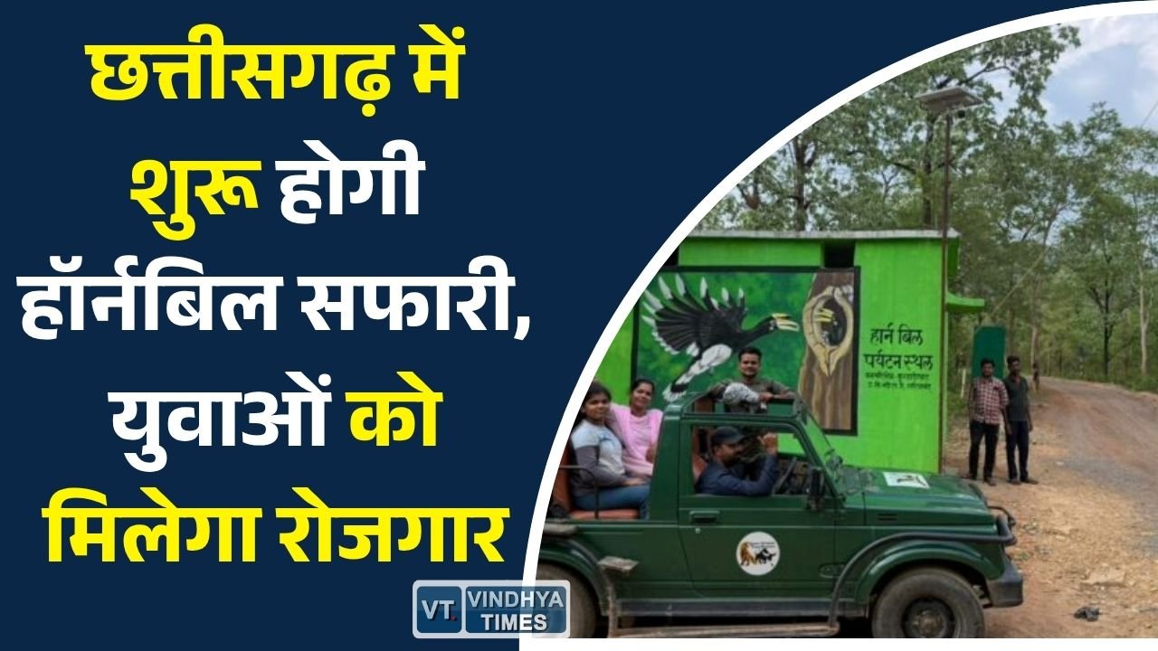 CG News: उदंती-सीतानदी टाइगर रिजर्व में शुरू होगी हॉर्नबिल सफारी, संरक्षण के साथ रोजगार को मिलेगा बढ़ावा