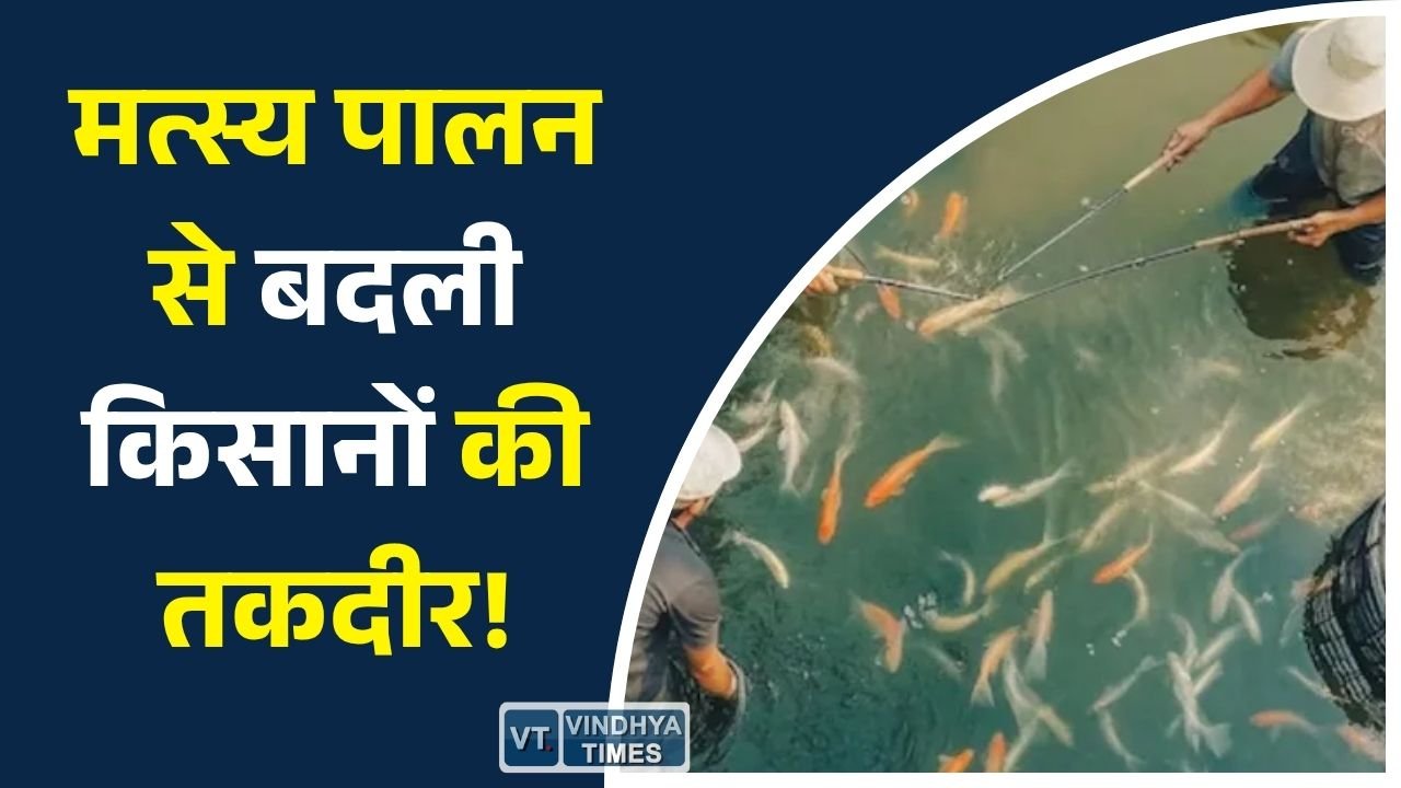 CG News: प्रधानमंत्री मत्स्य संपदा योजना से छत्तीसगढ़ में मत्स्य क्रांति, जशपुर बना सफलता का नया मॉडल