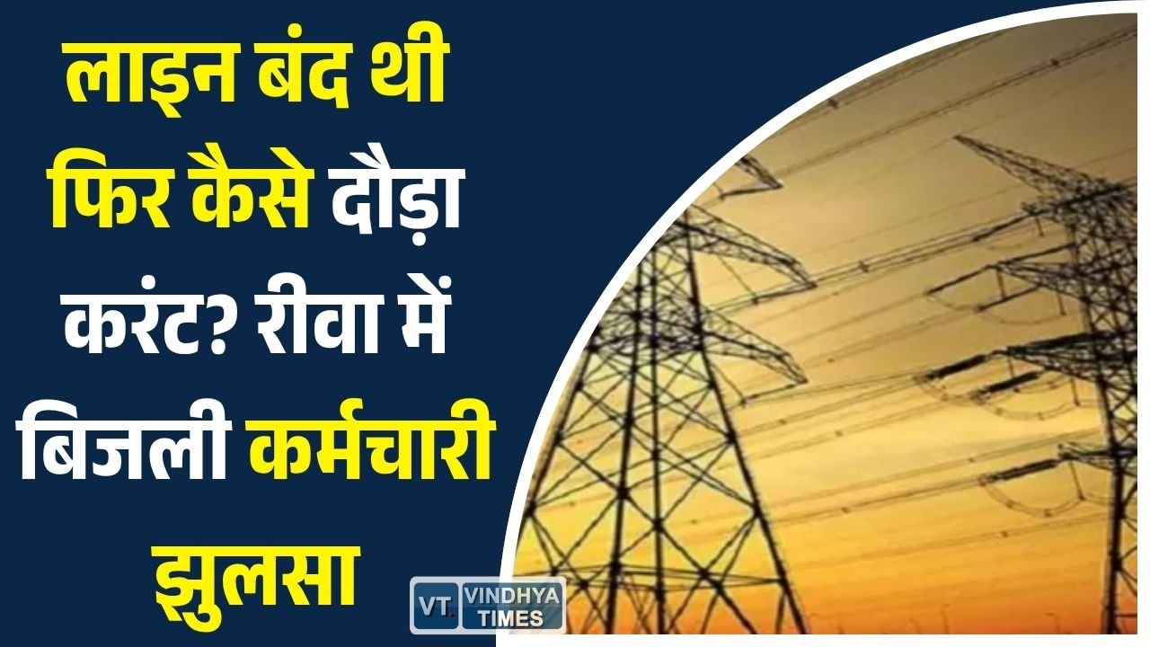 Rewa News: रीवा में 11KV लाइन पर काम कर रहे कर्मचारी को लगा करंट, खंभे से गिरकर गंभीर घायल