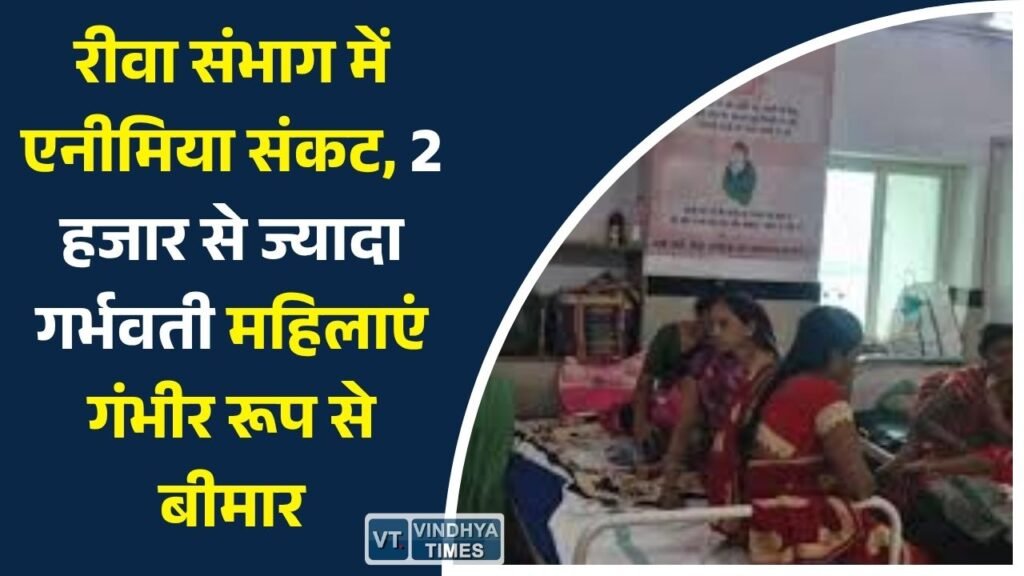Rewa News: रीवा संभाग में गर्भवती महिलाओं पर एनीमिया का खतरा, 2 हजार से अधिक महिलाओं का हीमोग्लोबिन 7 ग्राम से नीचे
