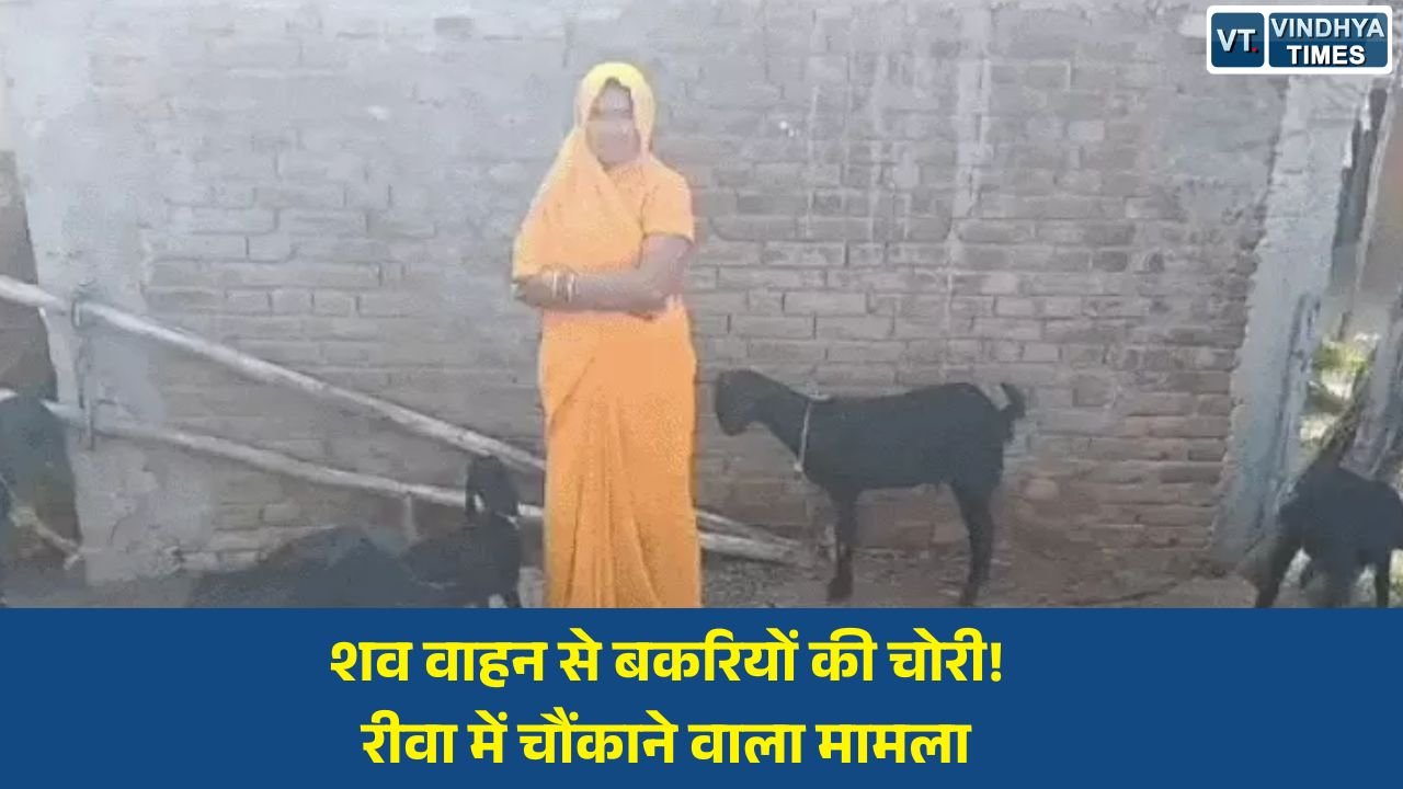 Rewa News: रीवा में सनसनीखेज वारदात: शासकीय शव वाहन का इस्तेमाल कर 6 बकरियों की चोरी, चालक गिरफ्तार