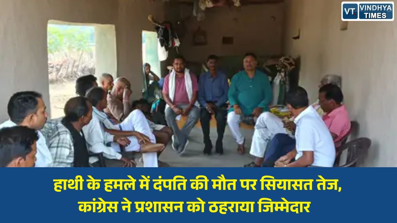 Sidhi News: सीधी में हाथी हमले से हुई दंपति की मौत के बाद कांग्रेस का हमला, पुनर्वास और मुआवजे में लापरवाही का आरोप