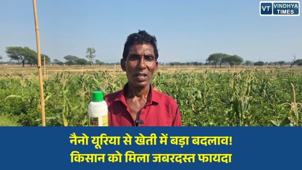 CG News: अंबिकापुर के किसान परशुराम राजवाड़े ने अपनाया नैनो यूरिया, खेती बनी अधिक आसान और लाभदायक
