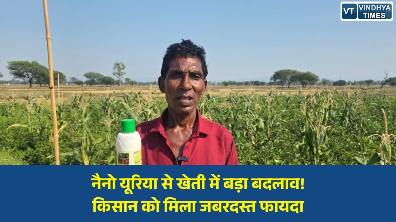 CG News: अंबिकापुर के किसान परशुराम राजवाड़े ने अपनाया नैनो यूरिया, खेती बनी अधिक आसान और लाभदायक