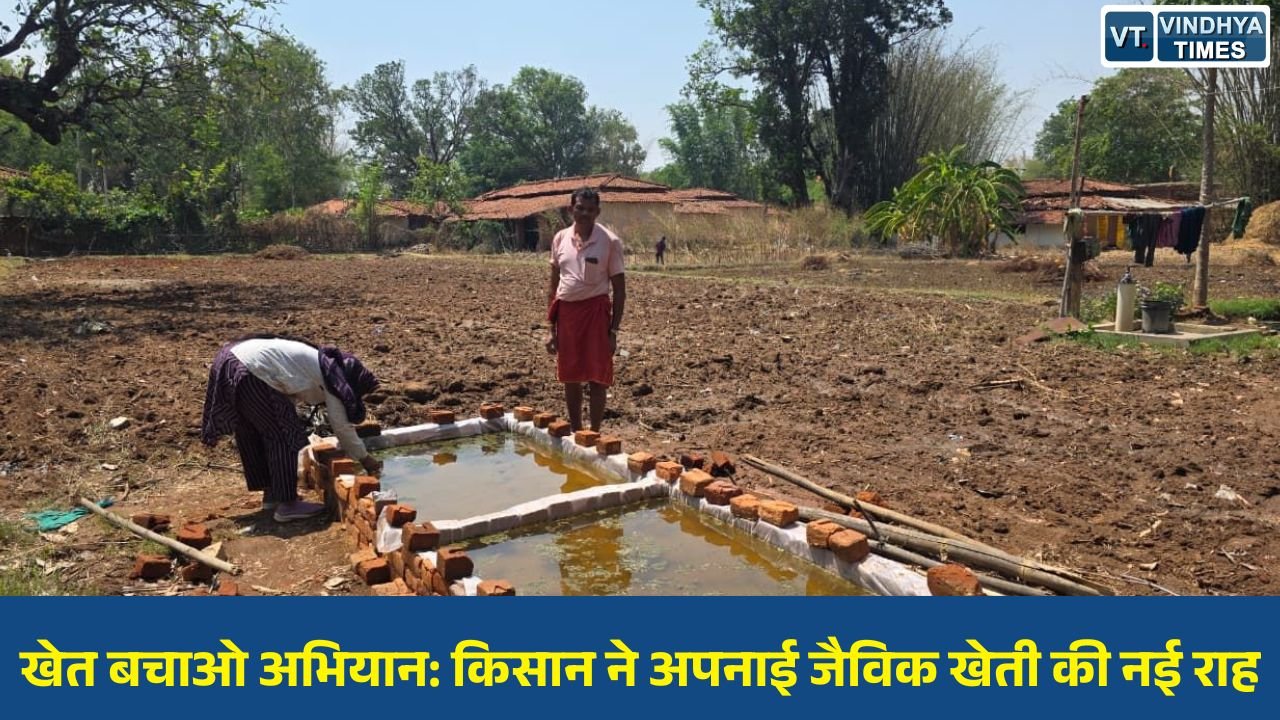 CG News: सरगुजा में जैविक खेती की मिसाल बने किसान धनेश्वर प्रसाद, नील हरित शैवाल से सुधार रहे मिट्टी की सेहत