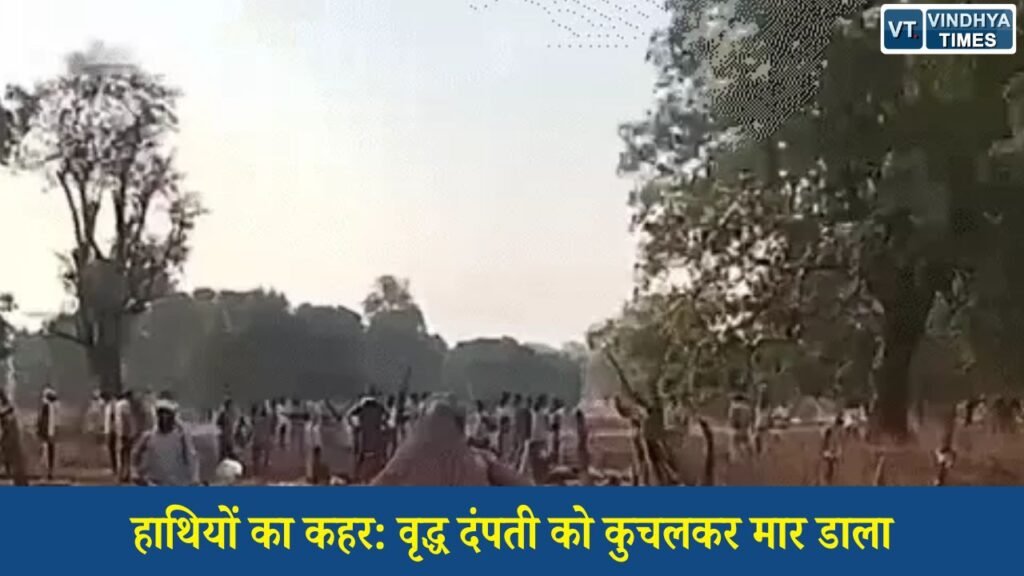 Sidhi News: सीधी में हाथियों के हमले से दहशत, वृद्ध दंपती की दर्दनाक मौत के बाद ग्रामीणों का प्रदर्शन