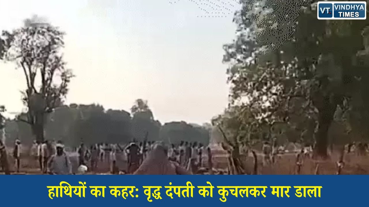 Sidhi News: सीधी में हाथियों के हमले से दहशत, वृद्ध दंपती की दर्दनाक मौत के बाद ग्रामीणों का प्रदर्शन