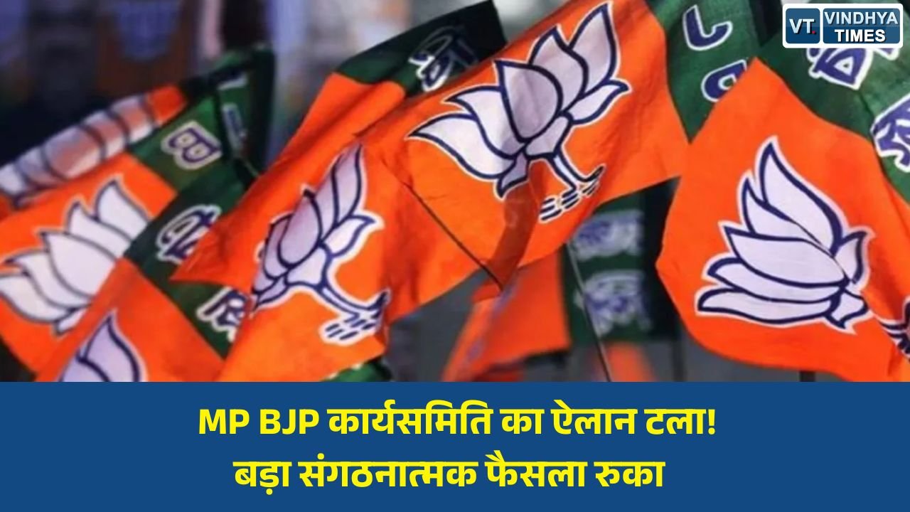 MP News: मध्य प्रदेश BJP कार्यसमिति की घोषणा टली, 12 साल पूरे होने के अभियान में पार्टी व्यस्त