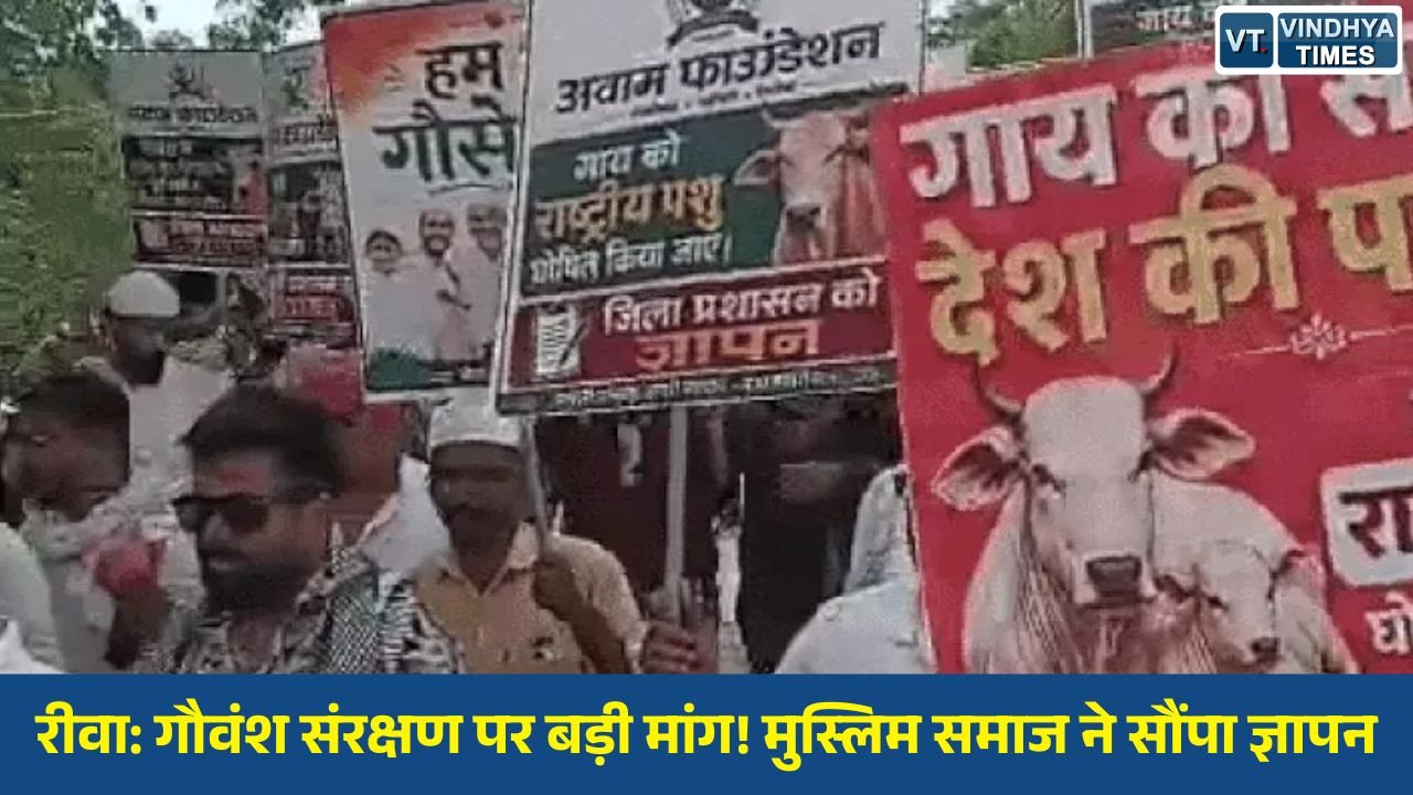 Rewa News: रीवा में अवाम फाउंडेशन का कलेक्टर को ज्ञापन, गौवंश संरक्षण और सख्त कानून की मांग