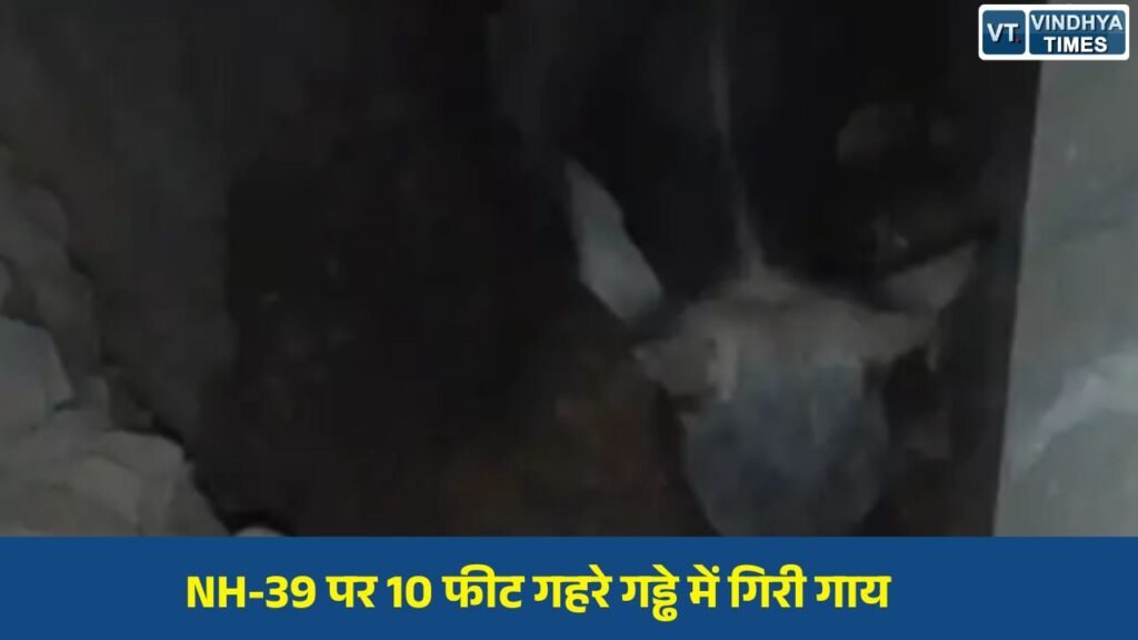 Sidhi News: सीधी-सिंगरौली हाईवे की बदहाली उजागर, राष्ट्रीय राजमार्ग पर बना विशाल गड्ढा बना खतरा