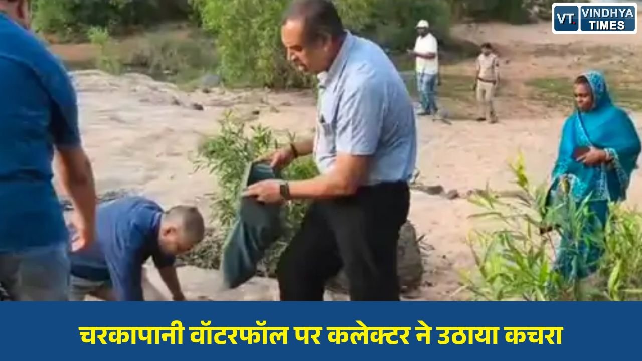 Sidhi News: विश्व पर्यावरण दिवस पर चरकापानी में स्वच्छता अभियान, कलेक्टर ने किया श्रमदान और वृक्षारोपण