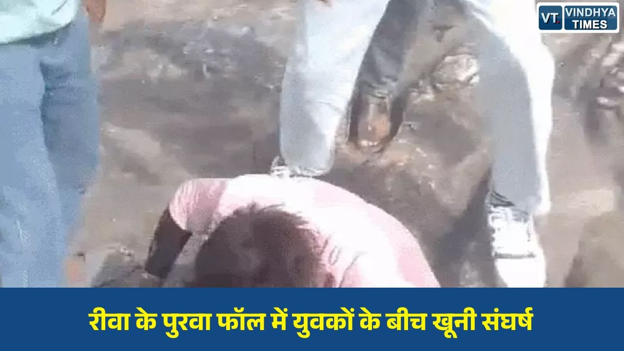 Rewa News: रीवा के पुरवा फॉल में युवकों की बेरहमी से पिटाई, पुलिस जांच में जुटी
