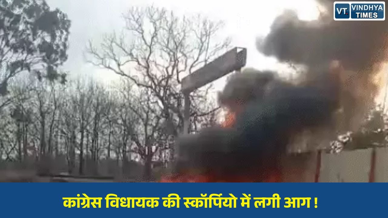 MP News: गाय को बचाने के प्रयास में अनियंत्रित हुई विधायक की स्कॉर्पियो, वाहन में लगी आग