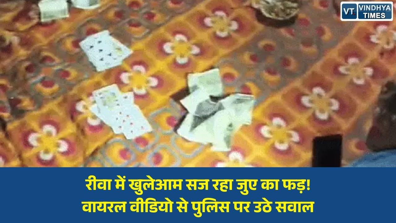 Rewa News: रीवा में अवैध जुए का वीडियो वायरल, शहर के बीचोंबीच चल रहे कथित जुआ कारोबार पर मचा हड़कंप