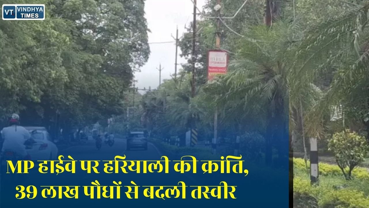 MP News: राष्ट्रीय राजमार्गों पर MP का बड़ा रिकॉर्ड, 5 साल में लगाए गए 39 लाख से ज्यादा पौधे