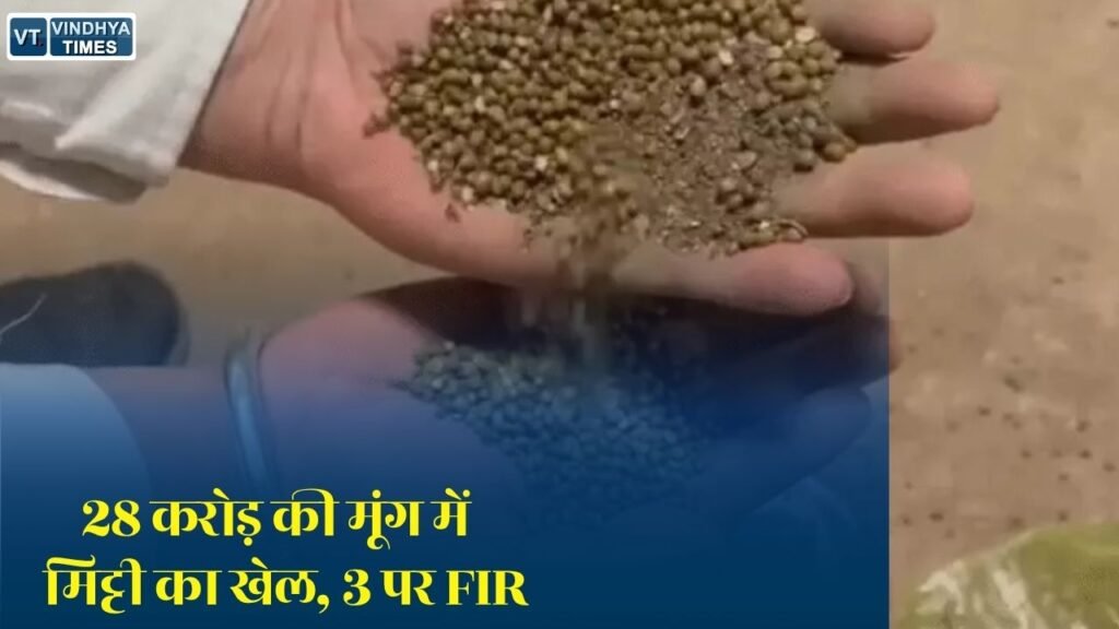 MP News: MP में 28 करोड़ की सरकारी मूंग घोटाला, वेयरहाउस जिला प्रबंधक समेत 3 पर FIR दर्ज