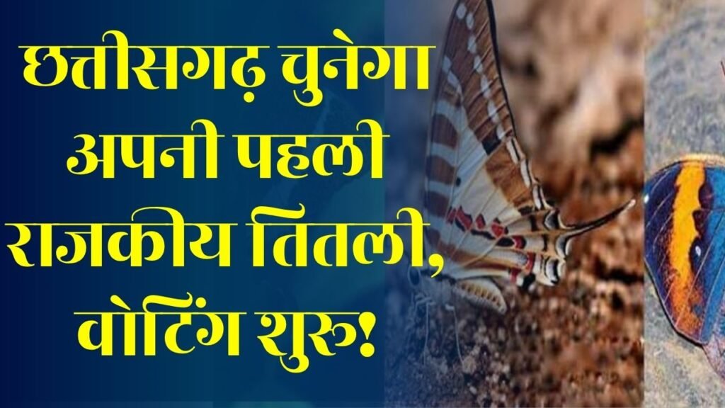 CG News: छत्तीसगढ़ में पहली राजकीय तितली के चयन की शुरुआत, तीन प्रजातियों में जनता करेगी फैसला