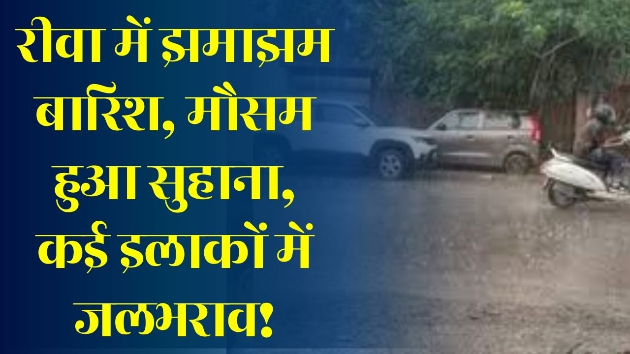 Rewa News: रीवा में मानसून मेहरबान, झमाझम बारिश से मिली गर्मी से राहत, कई इलाकों में जलभराव