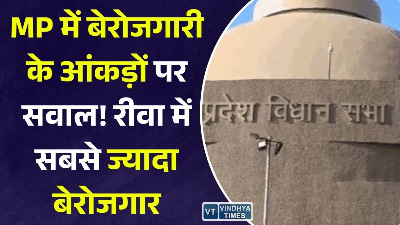 MP News: MP में बेरोजगारी के आंकड़ों पर सवाल, 6 महीने में 8 लाख से ज्यादा पंजीकृत बेरोजगार कम, रीवा सबसे ऊपर