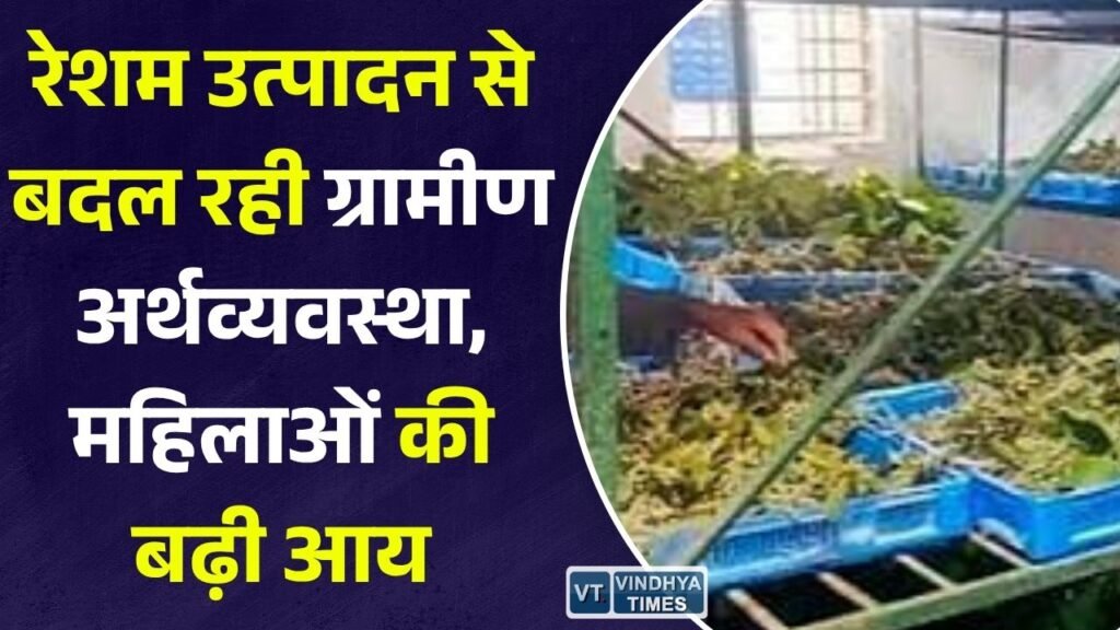 CG News: नारायणपुर में रेशम उत्पादन से बदली ग्रामीणों की तस्वीर, कोसापालन बना रोजगार और आत्मनिर्भरता का मजबूत आधार