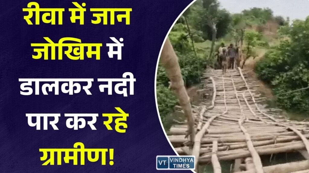 Rewa News: रीवा के रौली गांव में पुल नहीं बनने से ग्रामीणों ने बनाया लकड़ी का अस्थायी पुल, बच्चों समेत रोज़ाना खतरे में सफर