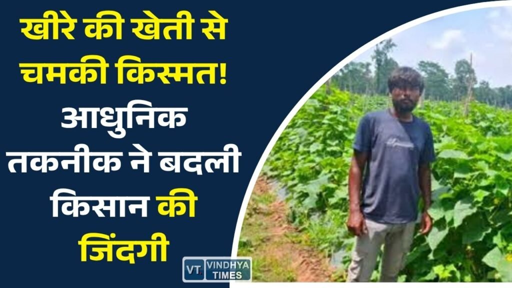 CG News: वैज्ञानिक तरीके से खीरे की खेती कर किसान ने लिखी सफलता की नई कहानी, बढ़ी आय और आत्मनिर्भरता