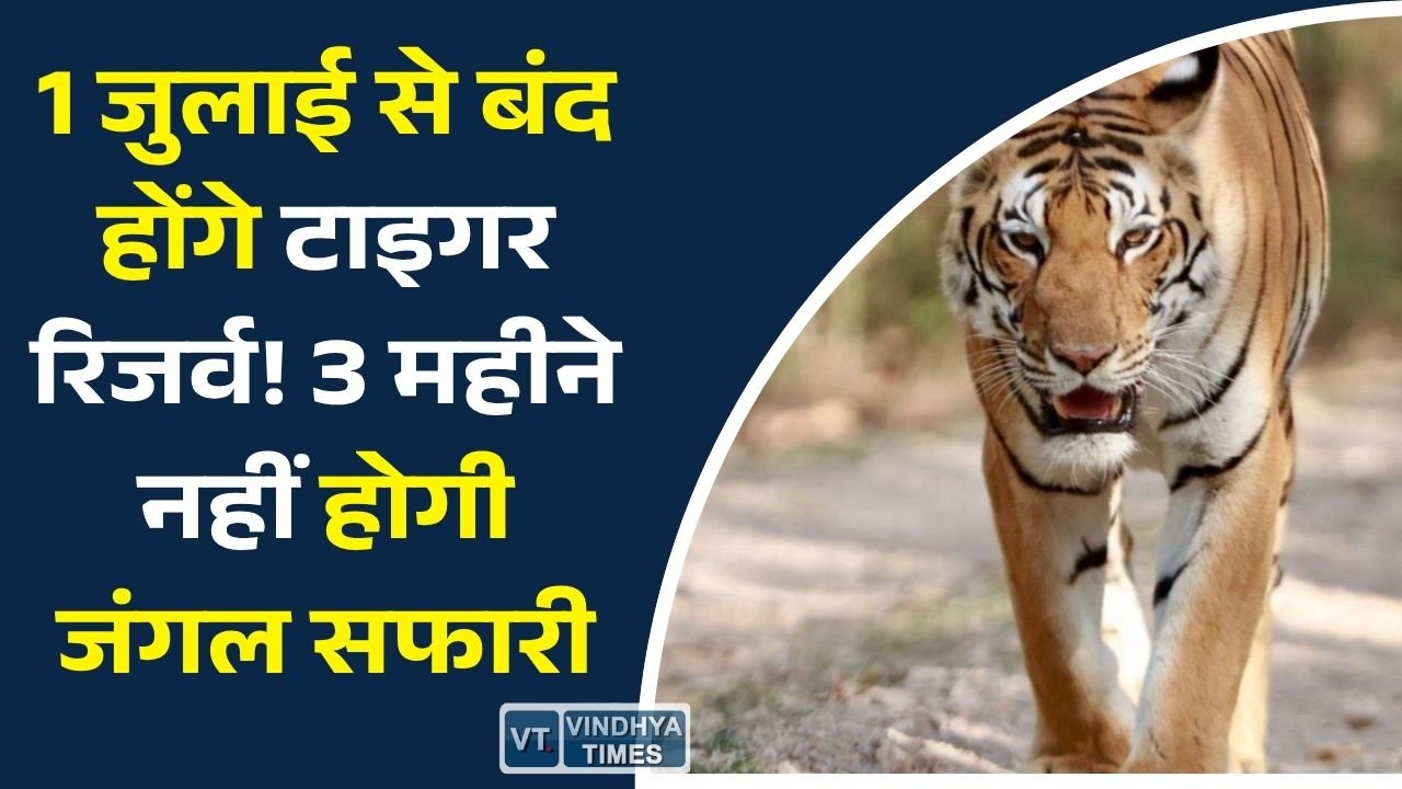 MP News: मानसून के चलते 1 जुलाई से बंद होंगे मध्य प्रदेश के सभी प्रमुख टाइगर रिजर्व, अक्टूबर में फिर शुरू होगी सफारी