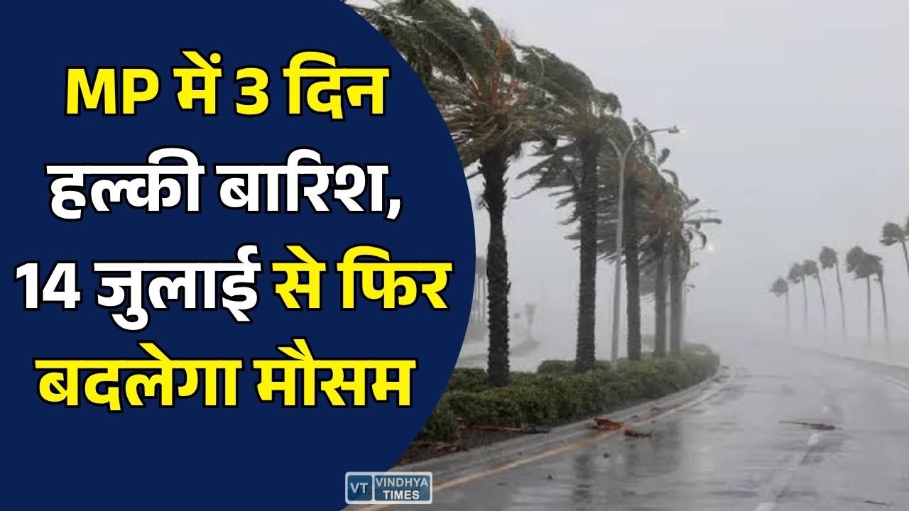 MP News: मध्य प्रदेश में अगले तीन दिन रिमझिम बारिश, 14 जुलाई से कुछ जिलों में फिर तेज बारिश के आसार