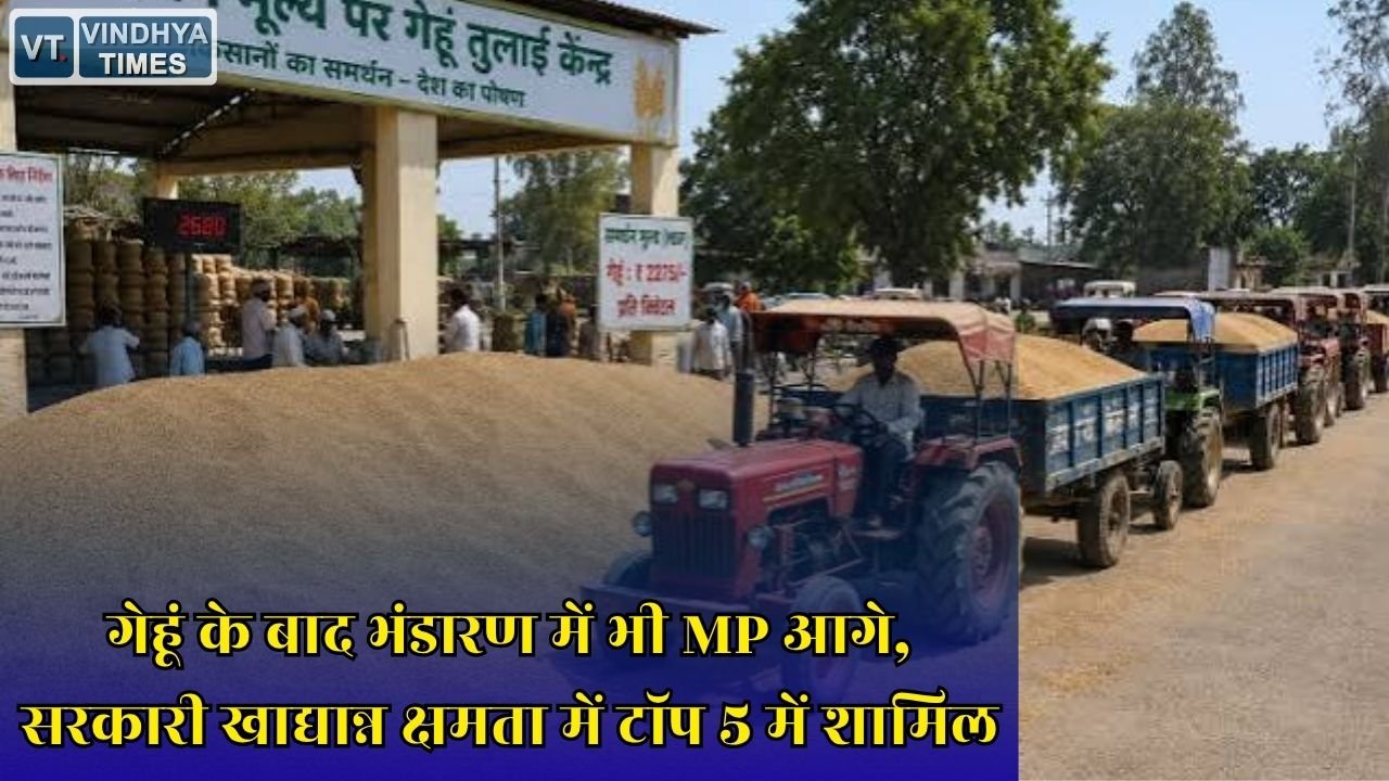 MP News: मध्य प्रदेश की बड़ी उपलब्धि, खाद्यान्न भंडारण क्षमता में टॉप राज्यों में पहुंचा MP