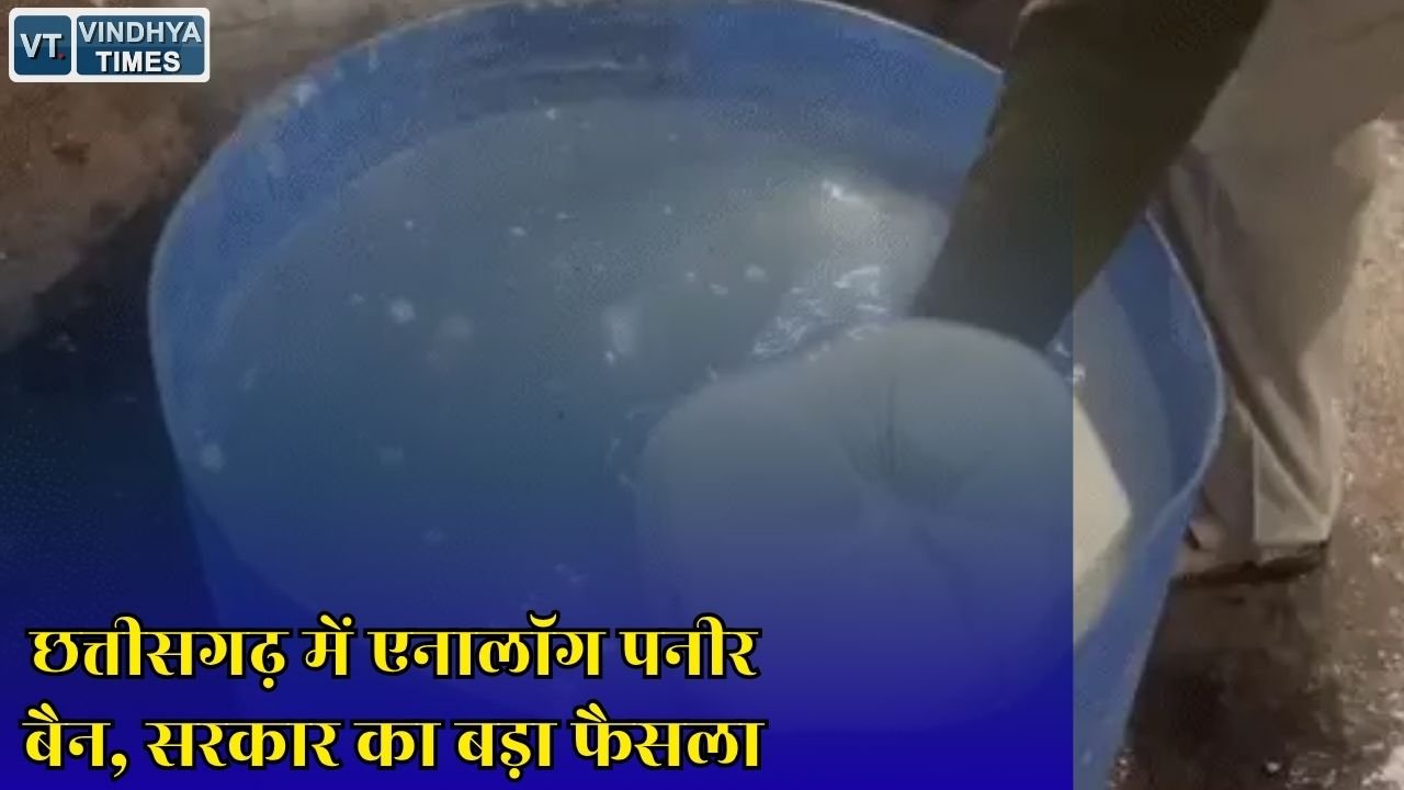 CG News: छत्तीसगढ़ में एनालॉग पनीर पर रोक, सरकार ने लिया सख्त फैसला