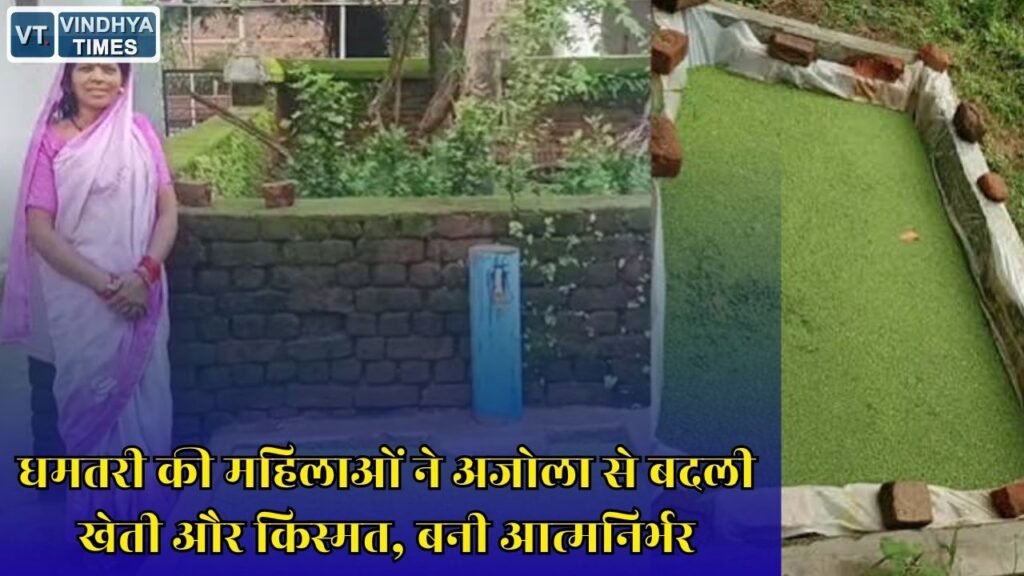 CG News: धमतरी की स्व सहायता समूह की महिलाओं ने अजोला उत्पादन से पेश की आत्मनिर्भरता की मिसाल