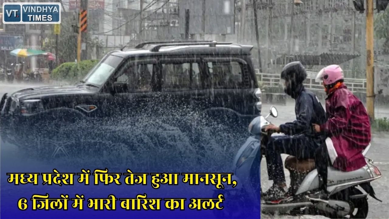 MP News: MP में मानसून ने पकड़ी रफ्तार, कई जिलों में भारी बारिश की चेतावनी, जानिए मौसम का नया अपडेट