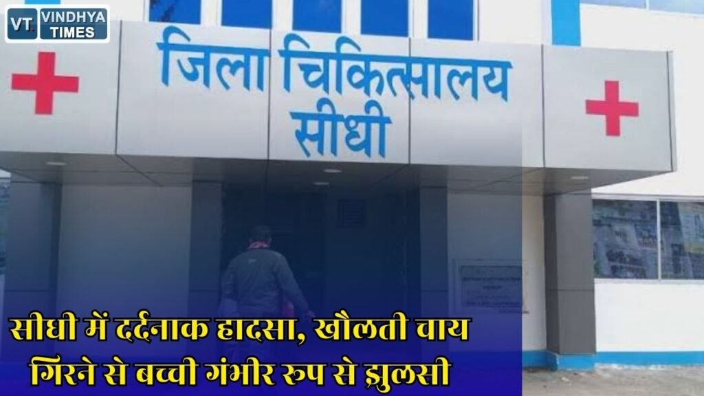 Sidhi News: रसोई में खेलते समय बच्ची पर गिरी गर्म चाय, गंभीर हालत में रीवा रेफर