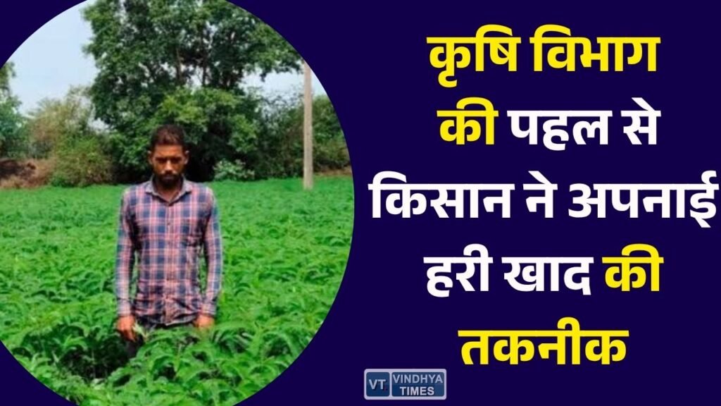 CG News: सरगुजा में प्राकृतिक खेती की मिसाल, ढैंचा की हरी खाद से किसान ने बढ़ाई मिट्टी की उर्वरता