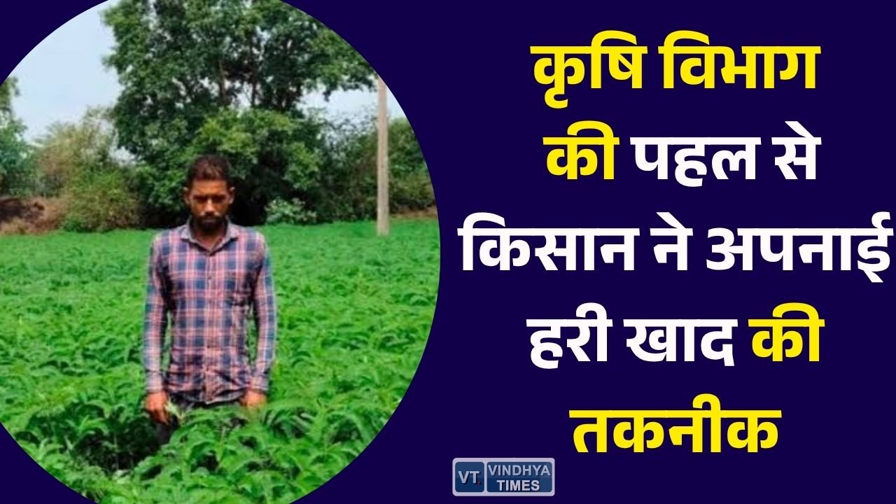 CG News: सरगुजा में प्राकृतिक खेती की मिसाल, ढैंचा की हरी खाद से किसान ने बढ़ाई मिट्टी की उर्वरता