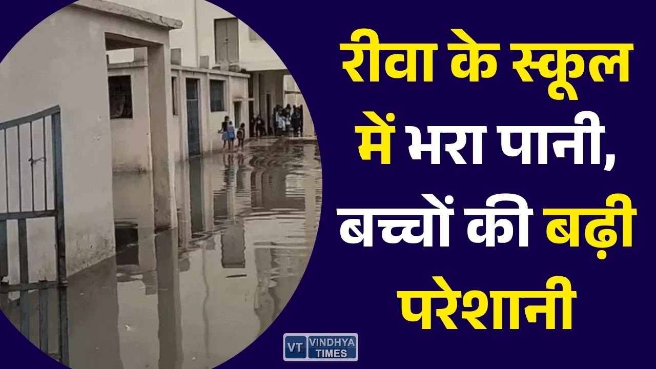 Rewa News: रीवा के समान विद्यालय में जलभराव से बढ़ी मुश्किलें, बारिश के बाद स्कूल परिसर बना तालाब