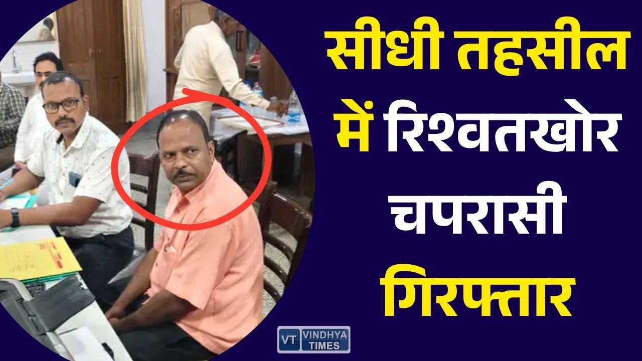 Sidhi News: सीधी में लोकायुक्त का बड़ा एक्शन, तहसील का चपरासी 3 हजार रुपये की रिश्वत लेते रंगे हाथ गिरफ्तार
