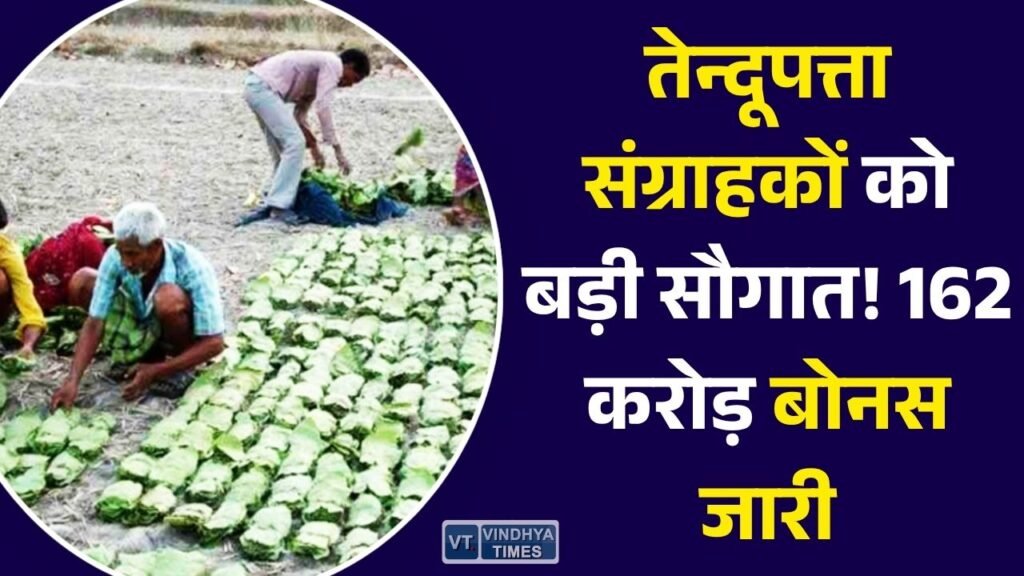CG News: छत्तीसगढ़ के 7.14 लाख तेन्दूपत्ता संग्राहकों को मिला बोनस, सरकार ने खातों में भेजी 162.32 करोड़ रुपए की राशि